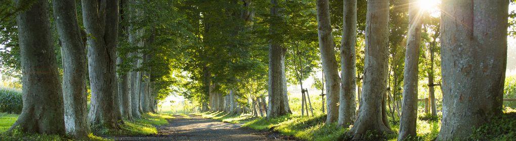 ハッピーファーム