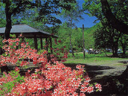 森林公園.jpg