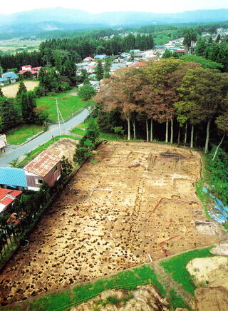 北館発掘航空写真.jpg